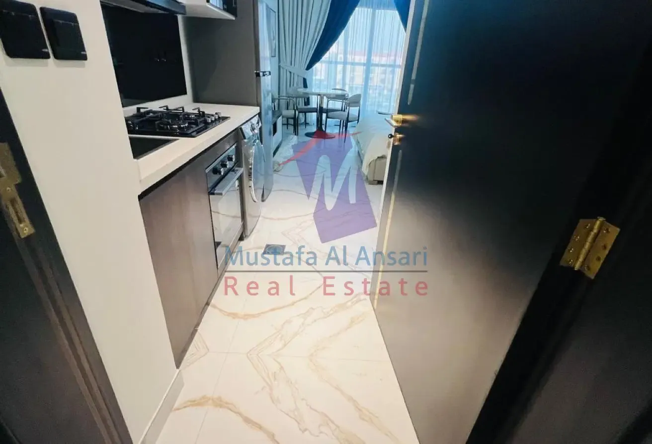 Fully Furnished studio For Rent petalz by Danube 2