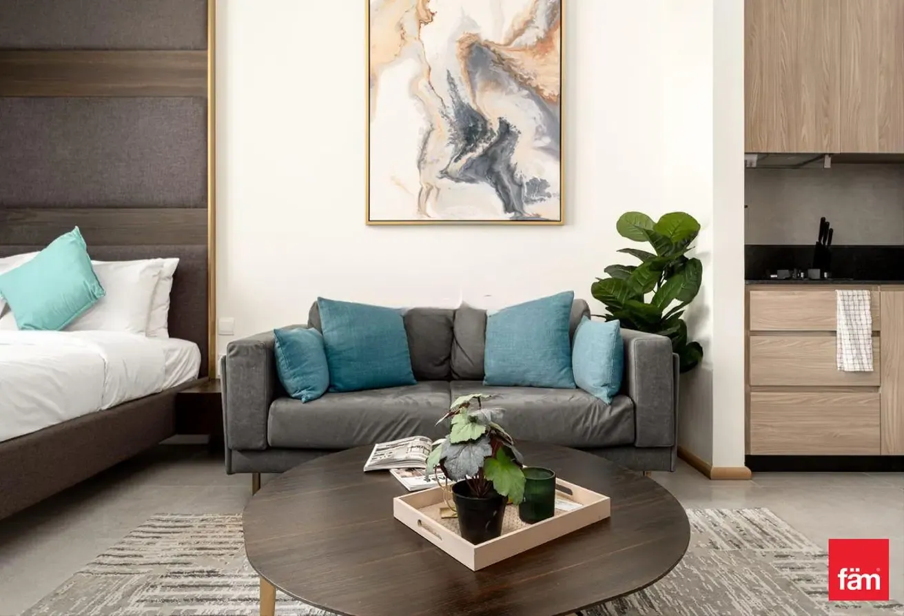 Furnished Studio For Rent | Elegant Building