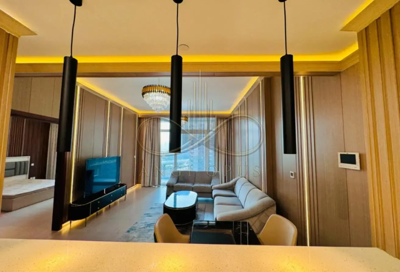 Luxury 1BR | Fully Furnished | Vacant