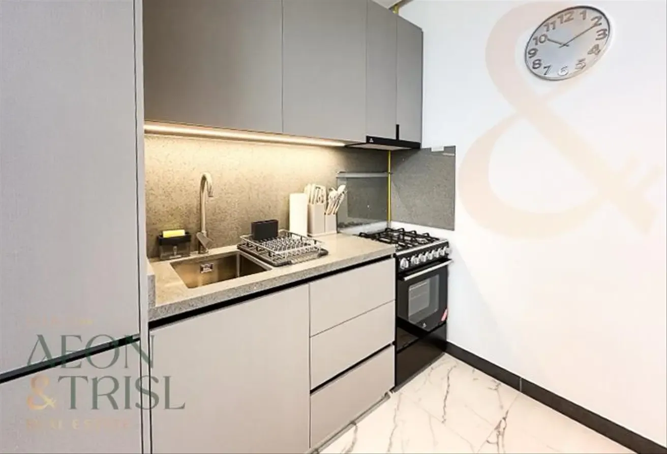 Fully Furnished | Multiple cheques | Open Views