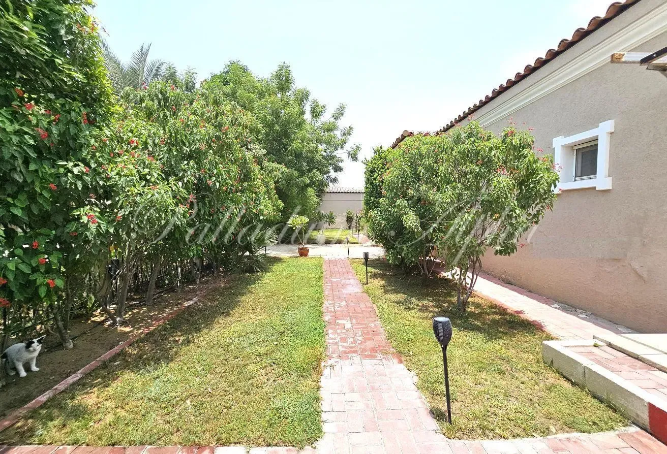 Exclusive | Extended | Massive Plot 11,300 sqft