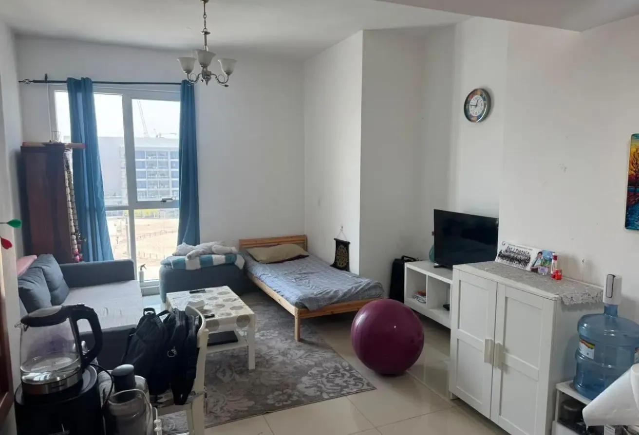 1 BR Apartment in Dubai Production City