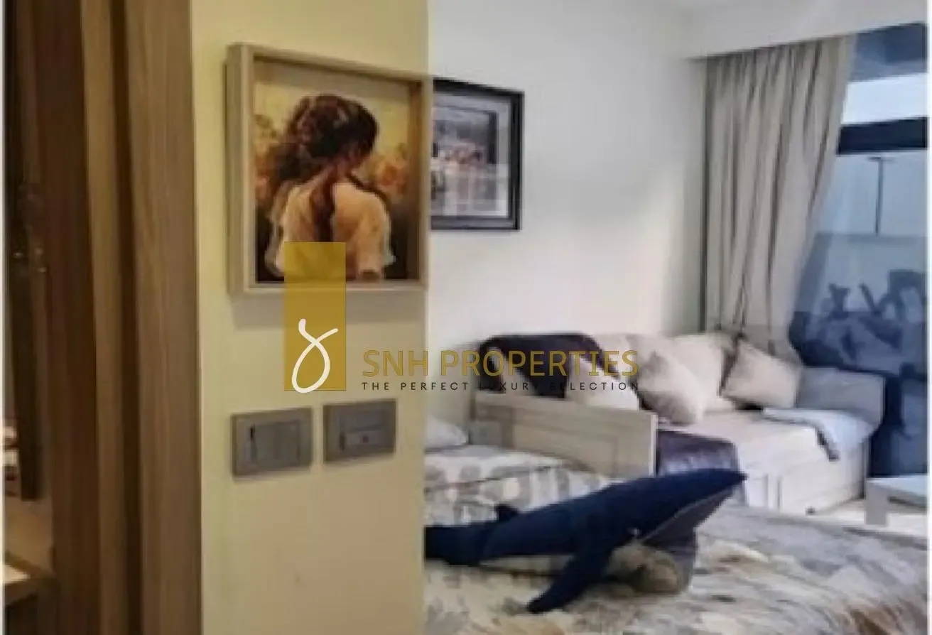 FURNISHED STUDIO | ROAD VIEW | READY TO MOVE