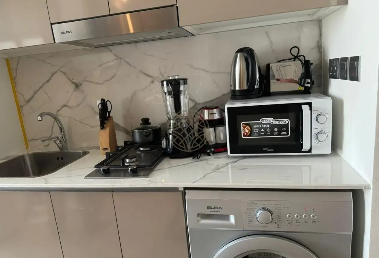 12 Cheques | Furnished | Boulevard View