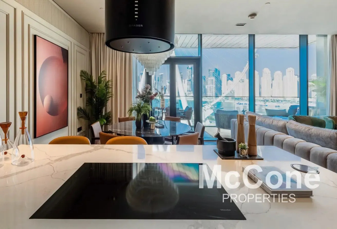 Upgraded | Fully Furnished | Ain View