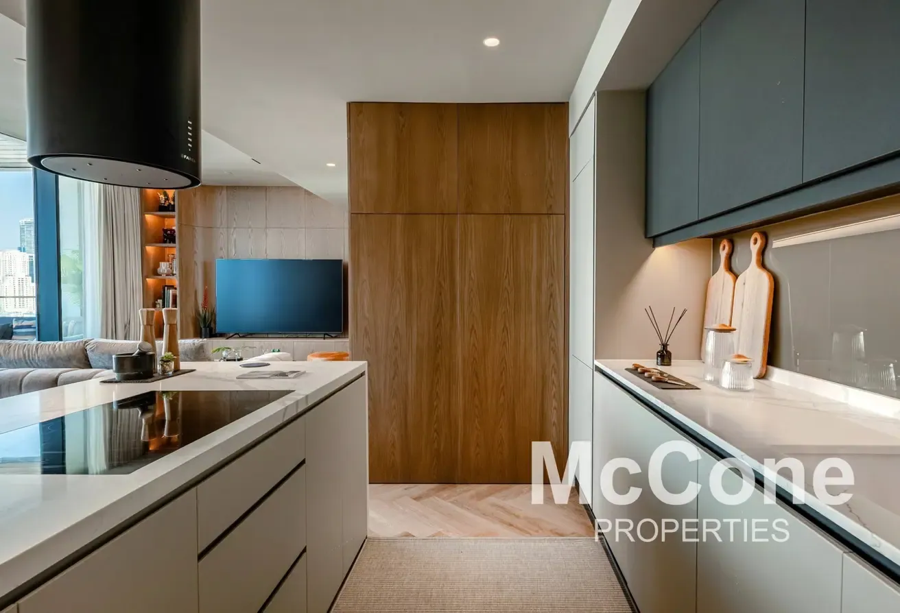 Upgraded | Fully Furnished | Ain View