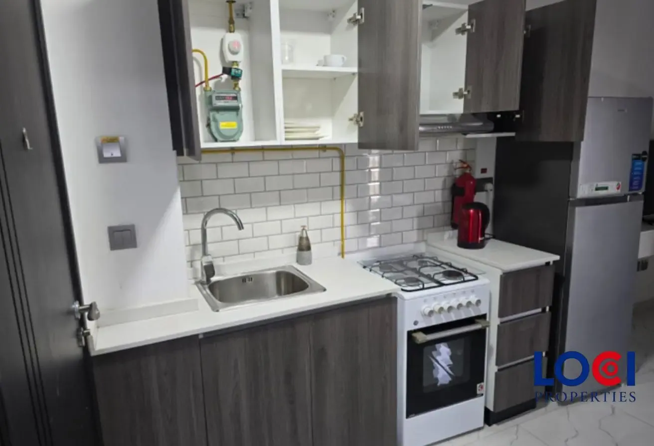 FULLY FURNISHED | MULTIPLE CHQS | READY TO MOVE