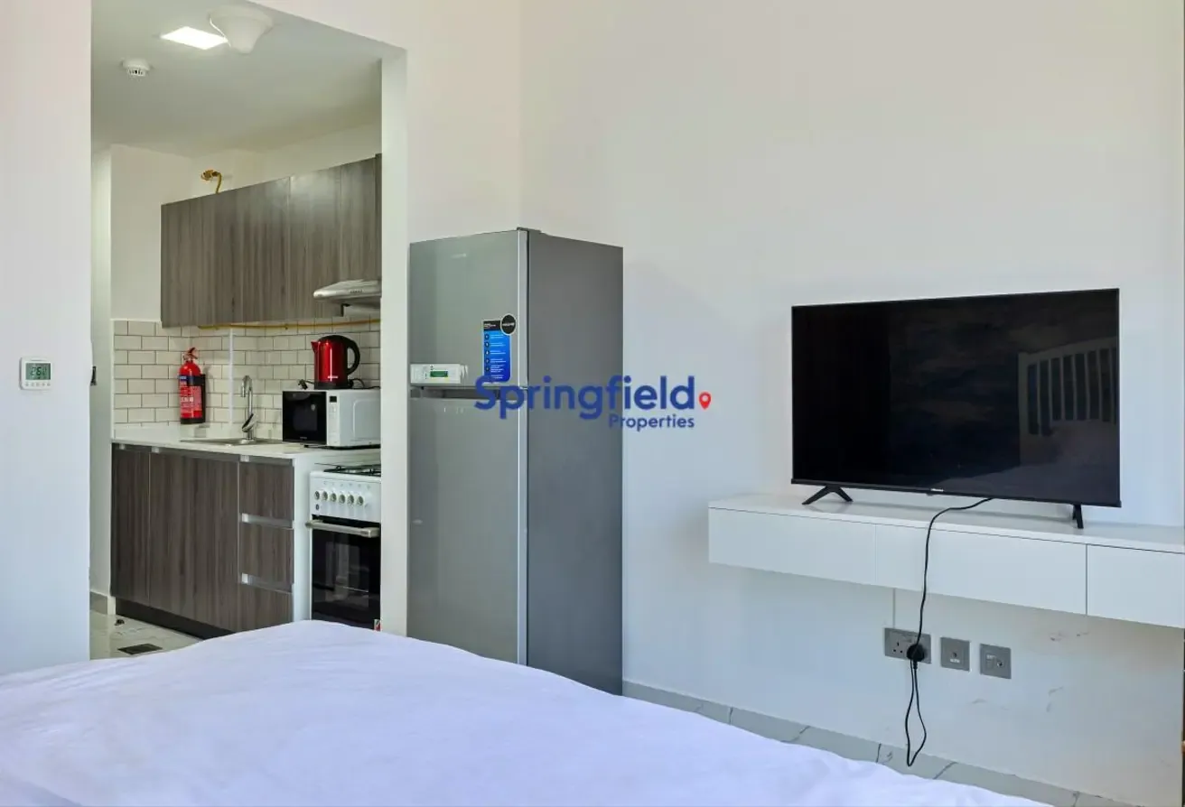 Modern Studio | Furnished | DLRC