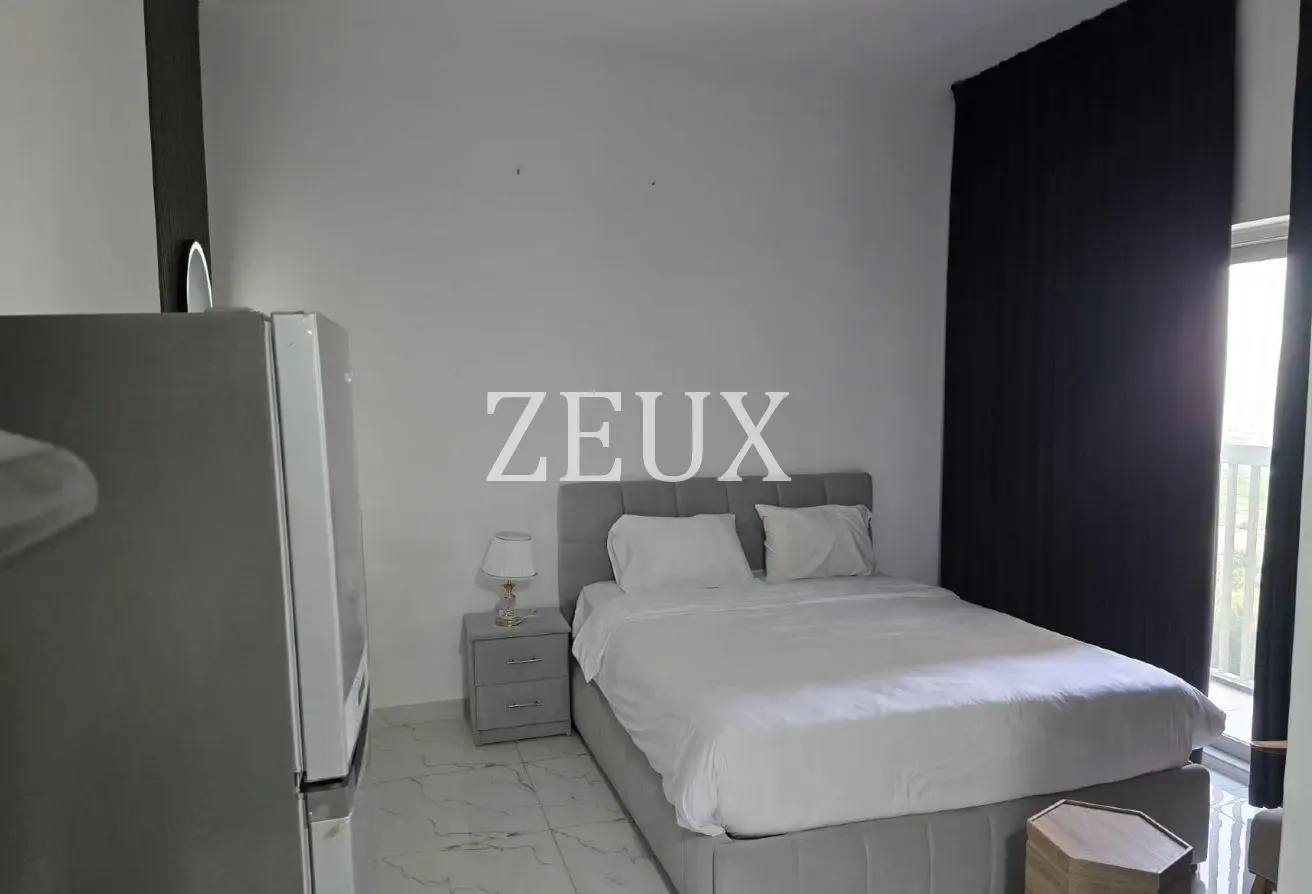 Furnished Studio | High ROI | Vacant | DLRC
