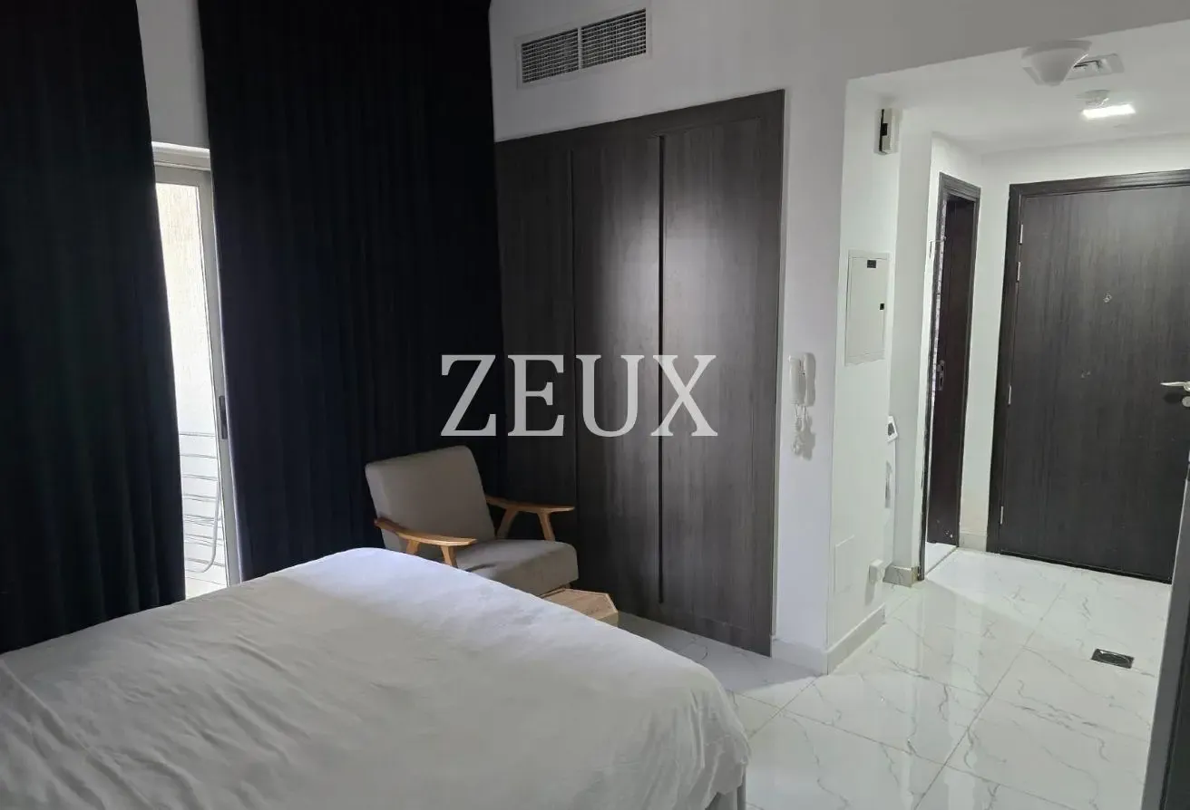 Furnished Studio | High ROI | Vacant | DLRC