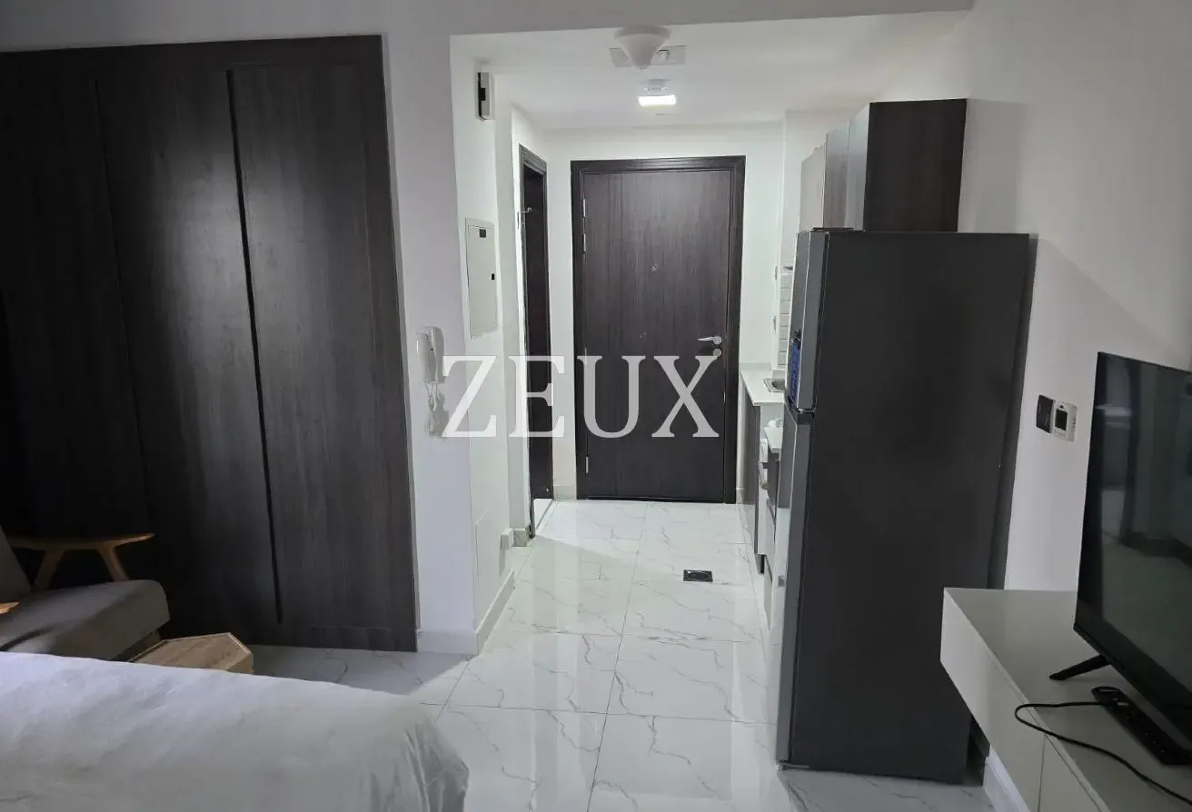 Furnished Studio | High ROI | Vacant | DLRC