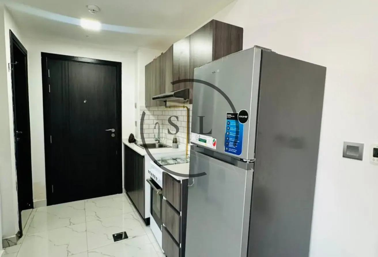 Fully Furnished|Best Price|Multiple Cheque Option