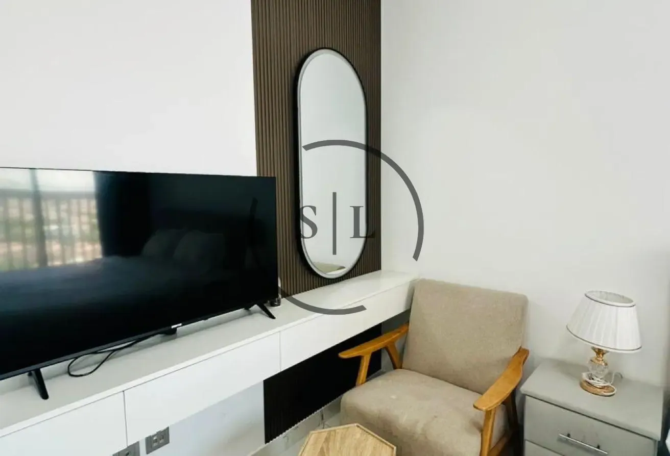 Fully Furnished|Best Price|Multiple Cheque Option