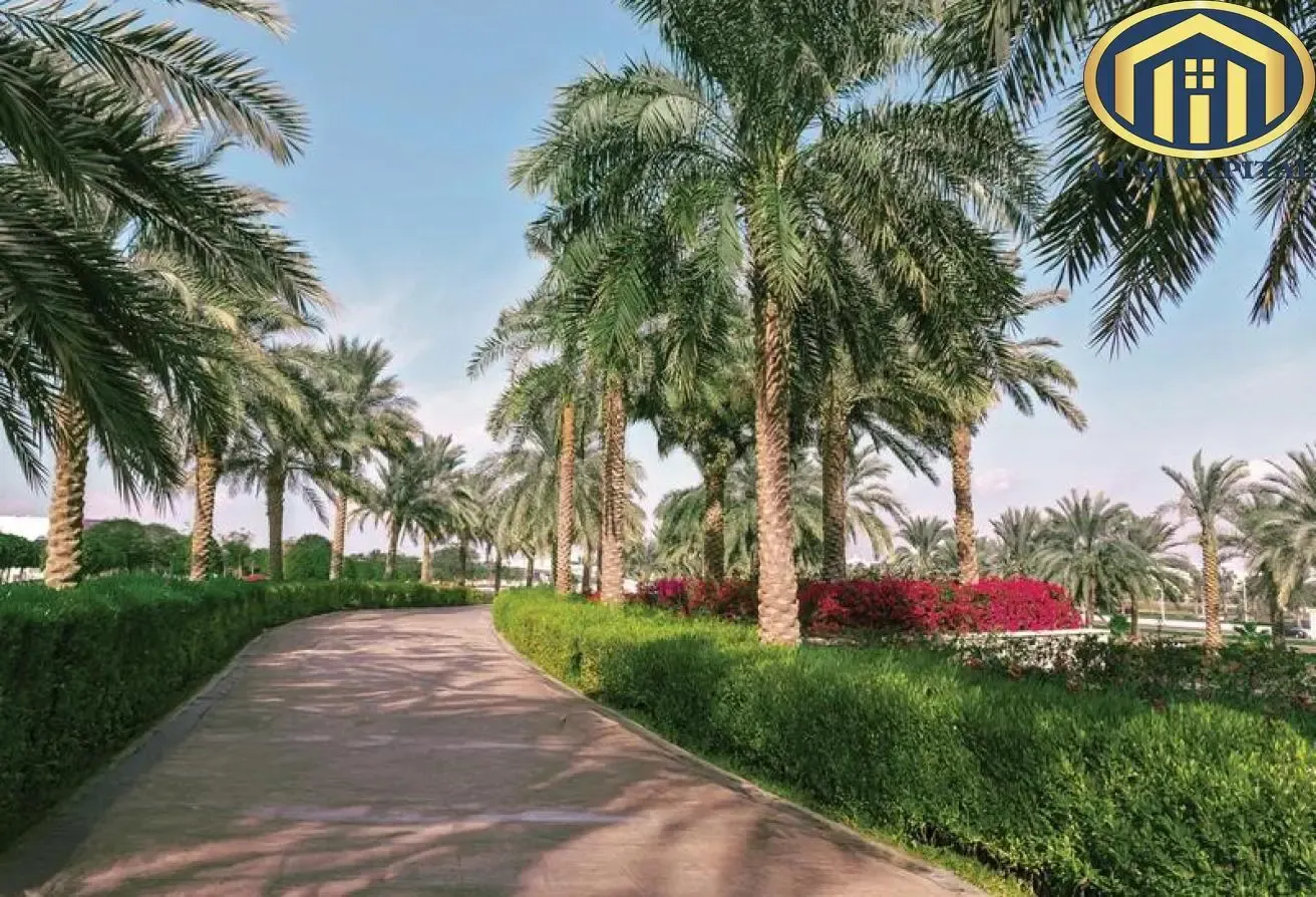 Cash Offer | Fully furnished | Trusted Developer