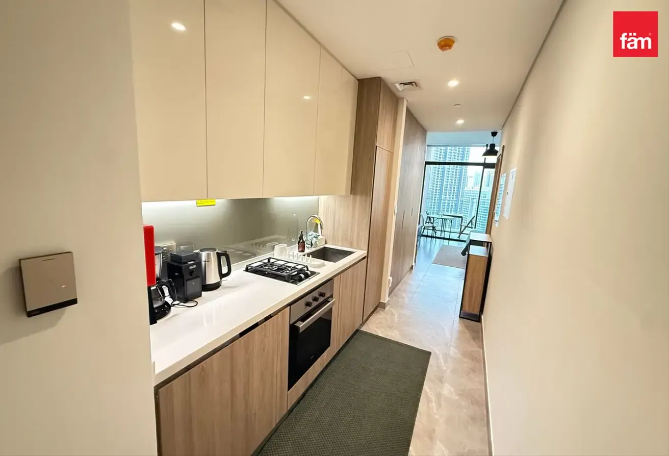 Spacios / Furnished / Skyline and Burj view