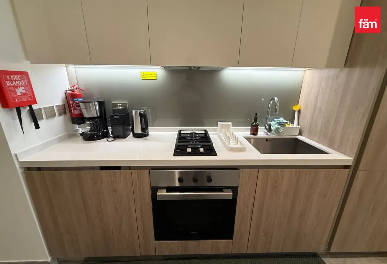 Spacios / Furnished / Skyline and Burj view