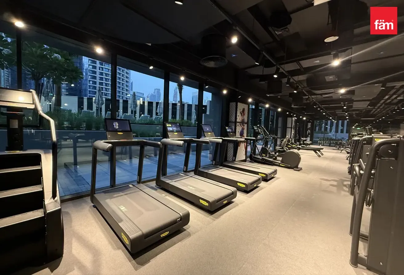 Spacios / Furnished / Skyline and Burj view
