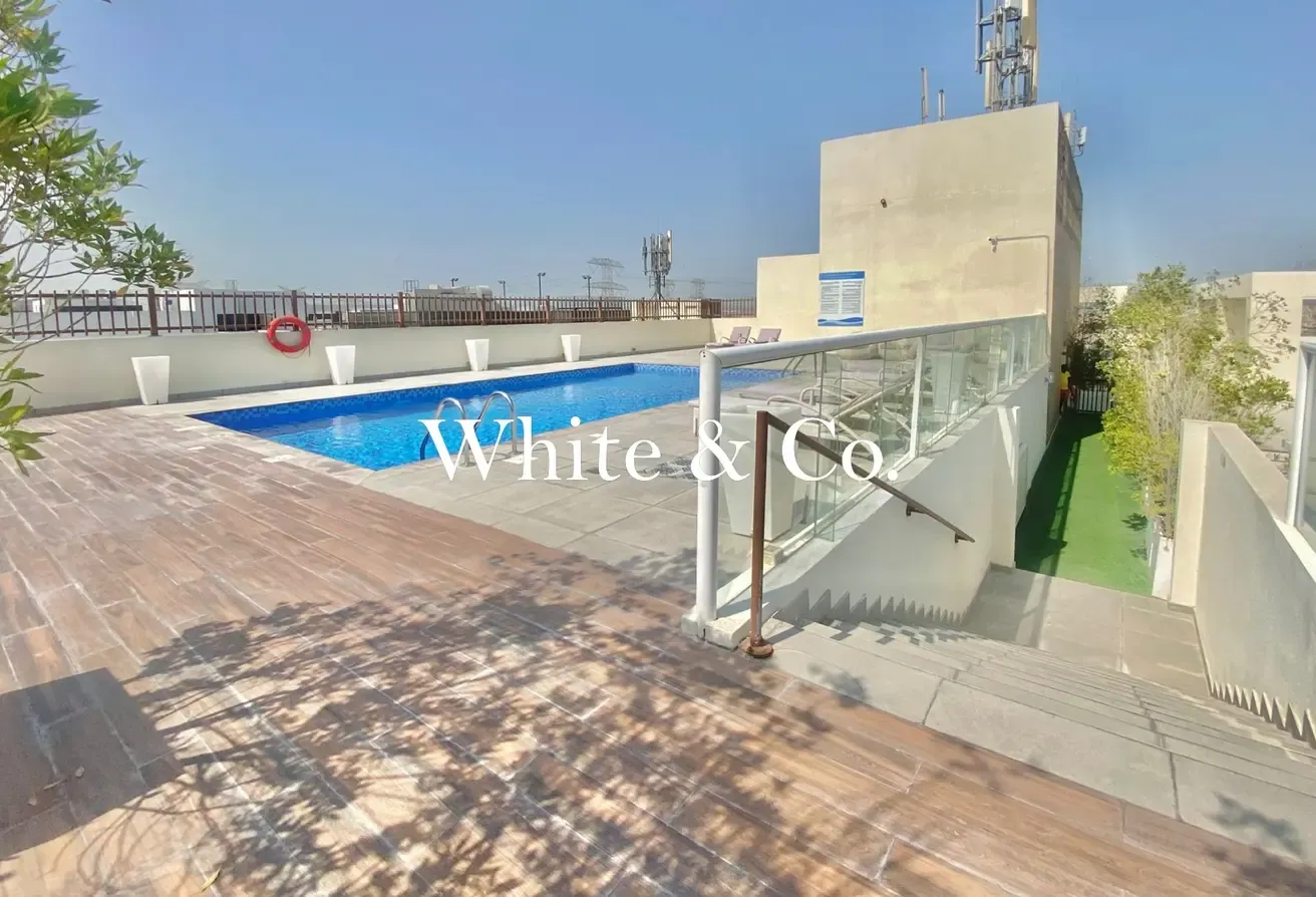 Modern Studio | Investment | Opportunity