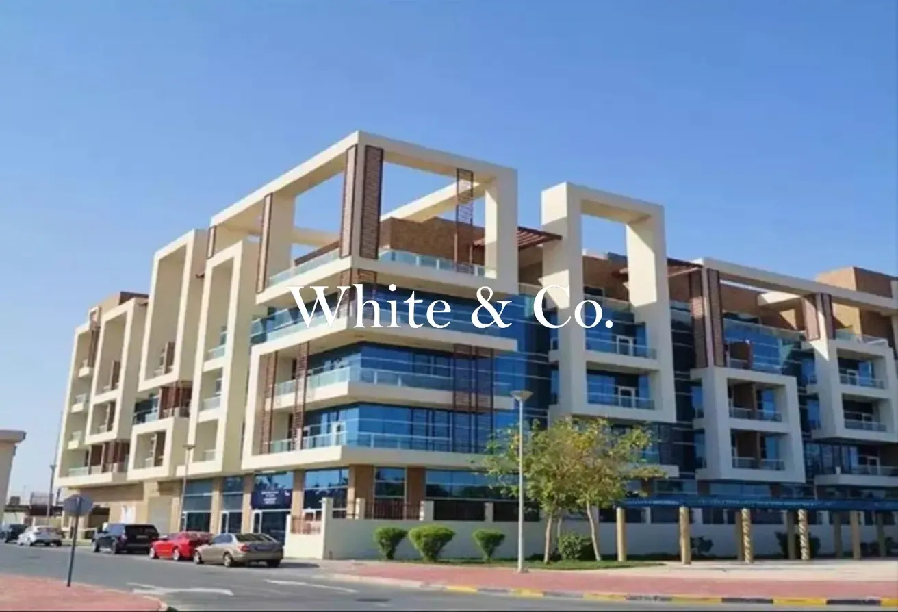 Modern Studio | Investment | Opportunity