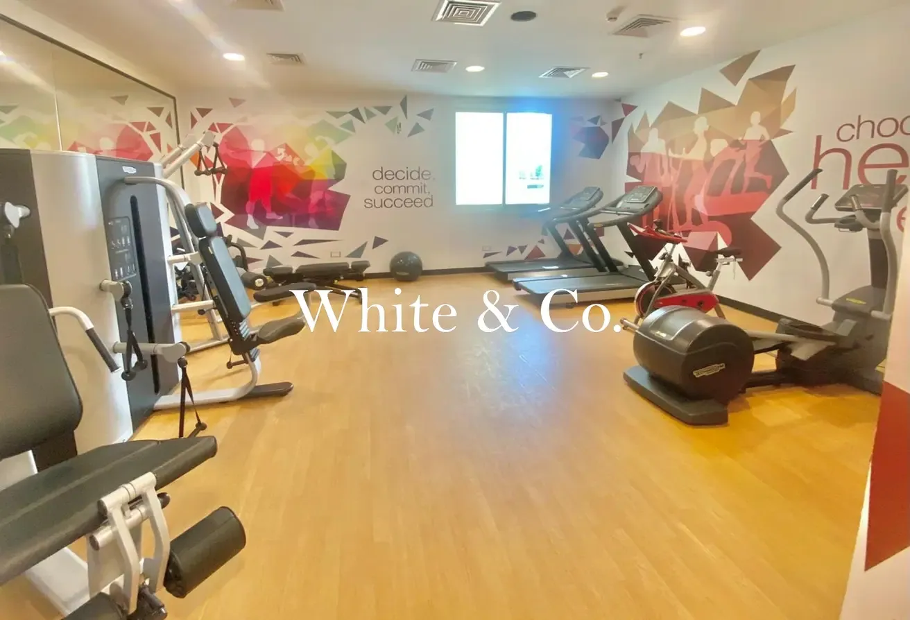 Modern Studio | Investment | Opportunity