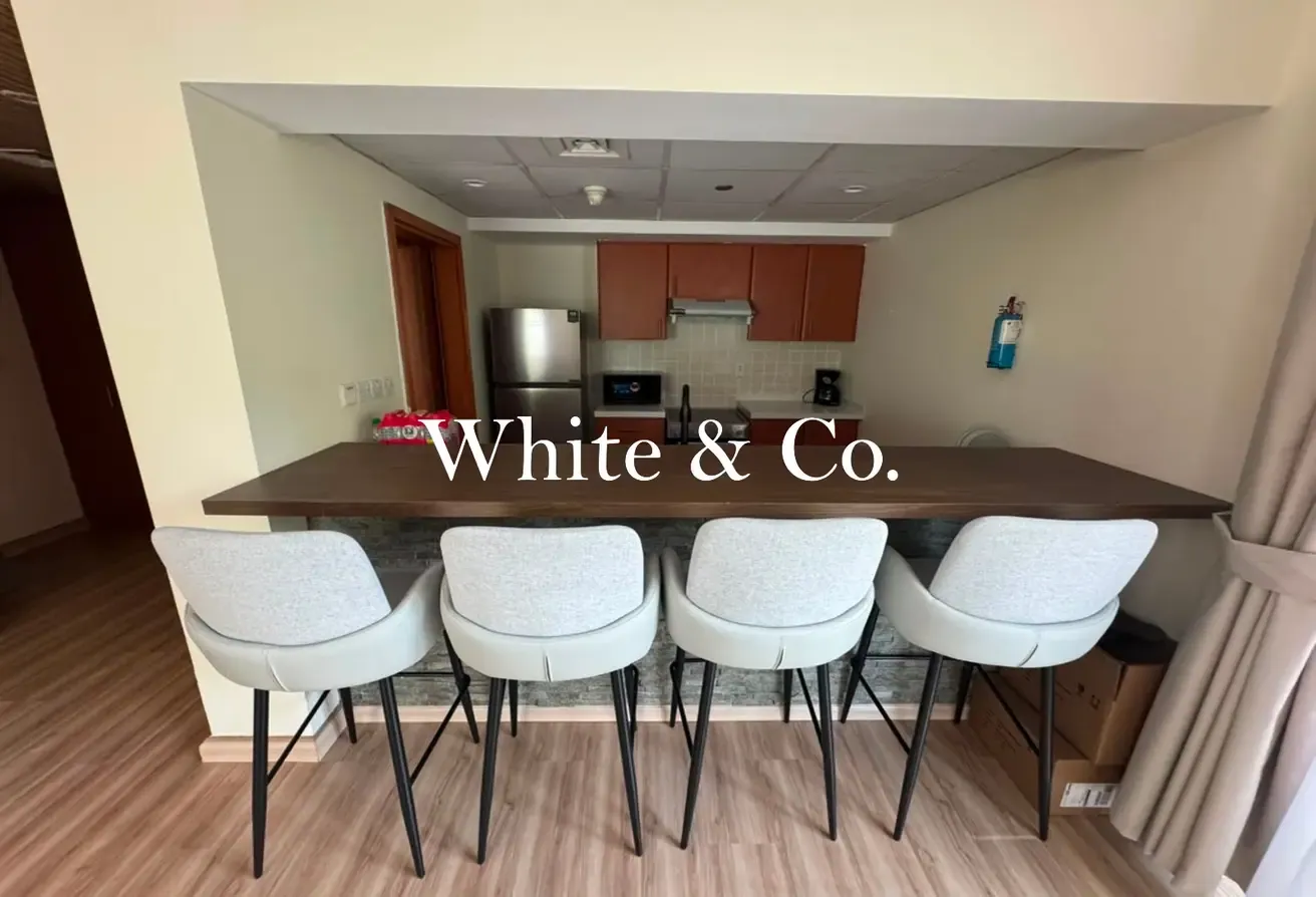 Fully Furnished | Upgraded | Chiller free