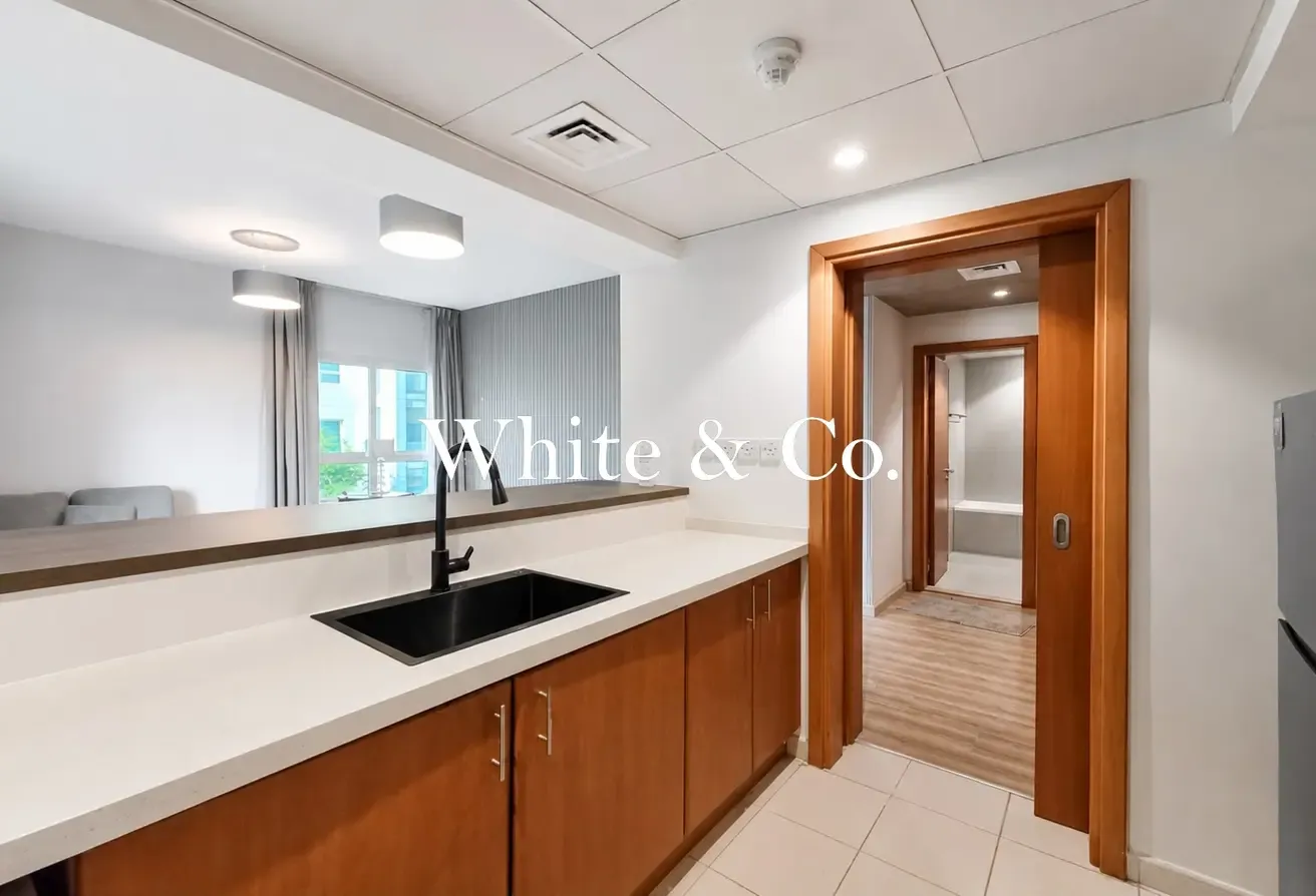 Fully Furnished | Upgraded | Chiller free