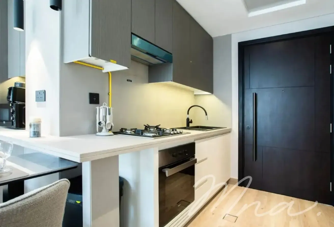 Spacious | Upgraded | Fully Furnished Apartment