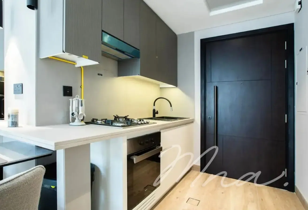Spacious | Upgraded | Fully Furnished Apartment