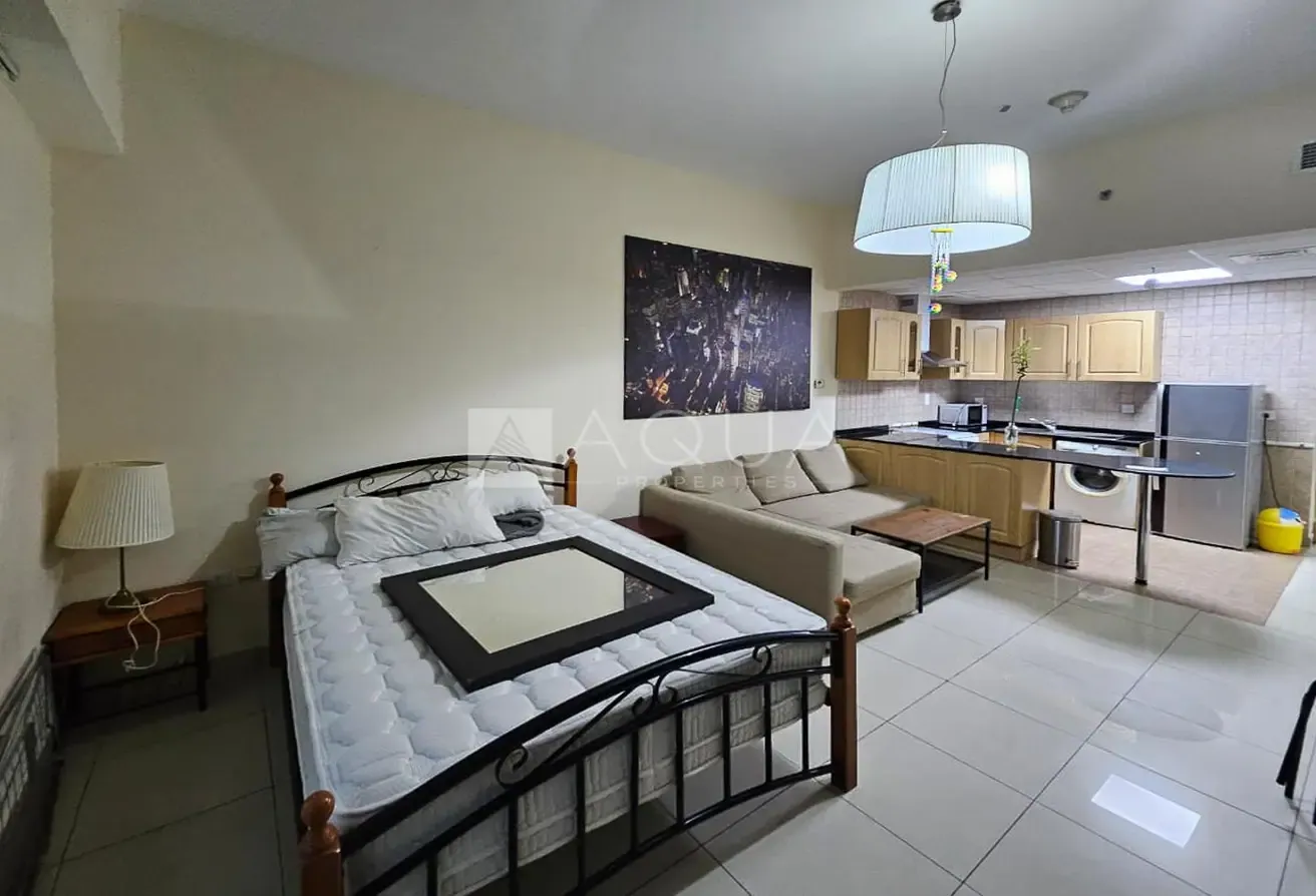 CHILLER FREE | WELL KEPT | NEAR METRO | FURNISHED