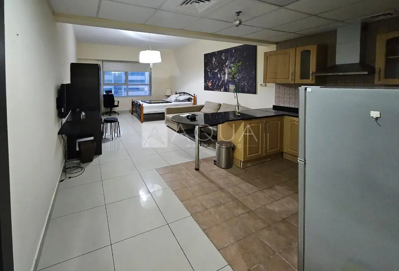 CHILLER FREE | WELL KEPT | NEAR METRO | FURNISHED