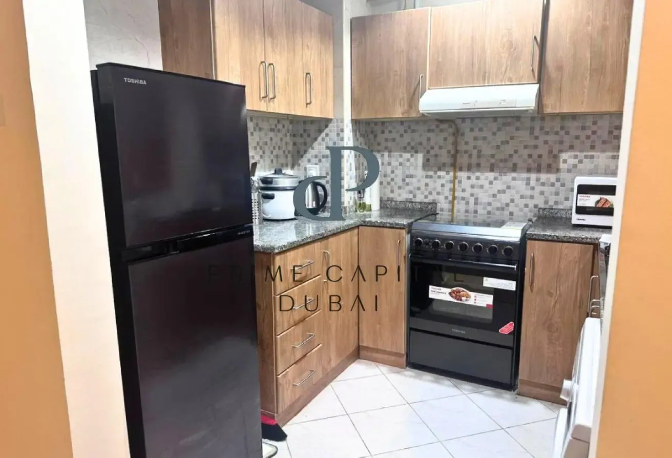 Fully Furnished 1 BR | Well Maintained | Rented