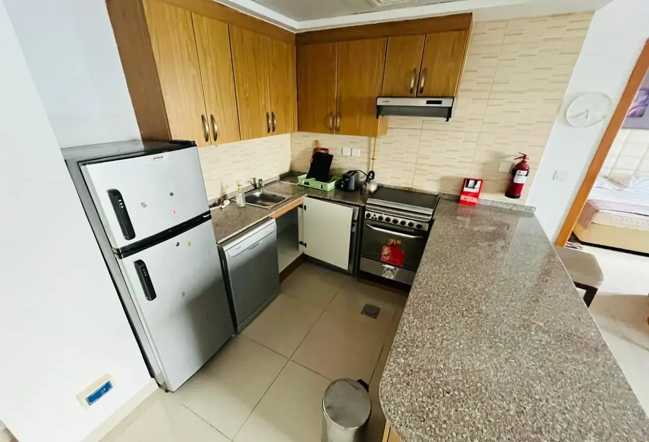 Spacious Fully Furnished Metro Station Jabal Ali