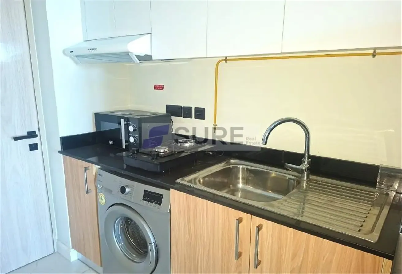 FULLY FURNISHED / FULL AMENITIES / VACANT NOW