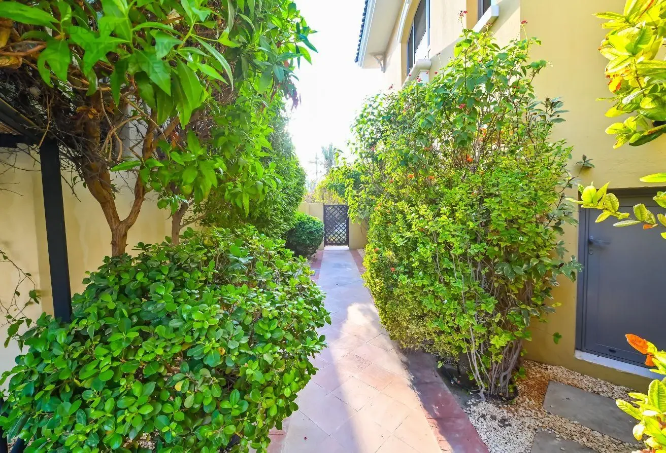 4BR+Maid+Study | O Frond | Direct Beach Access