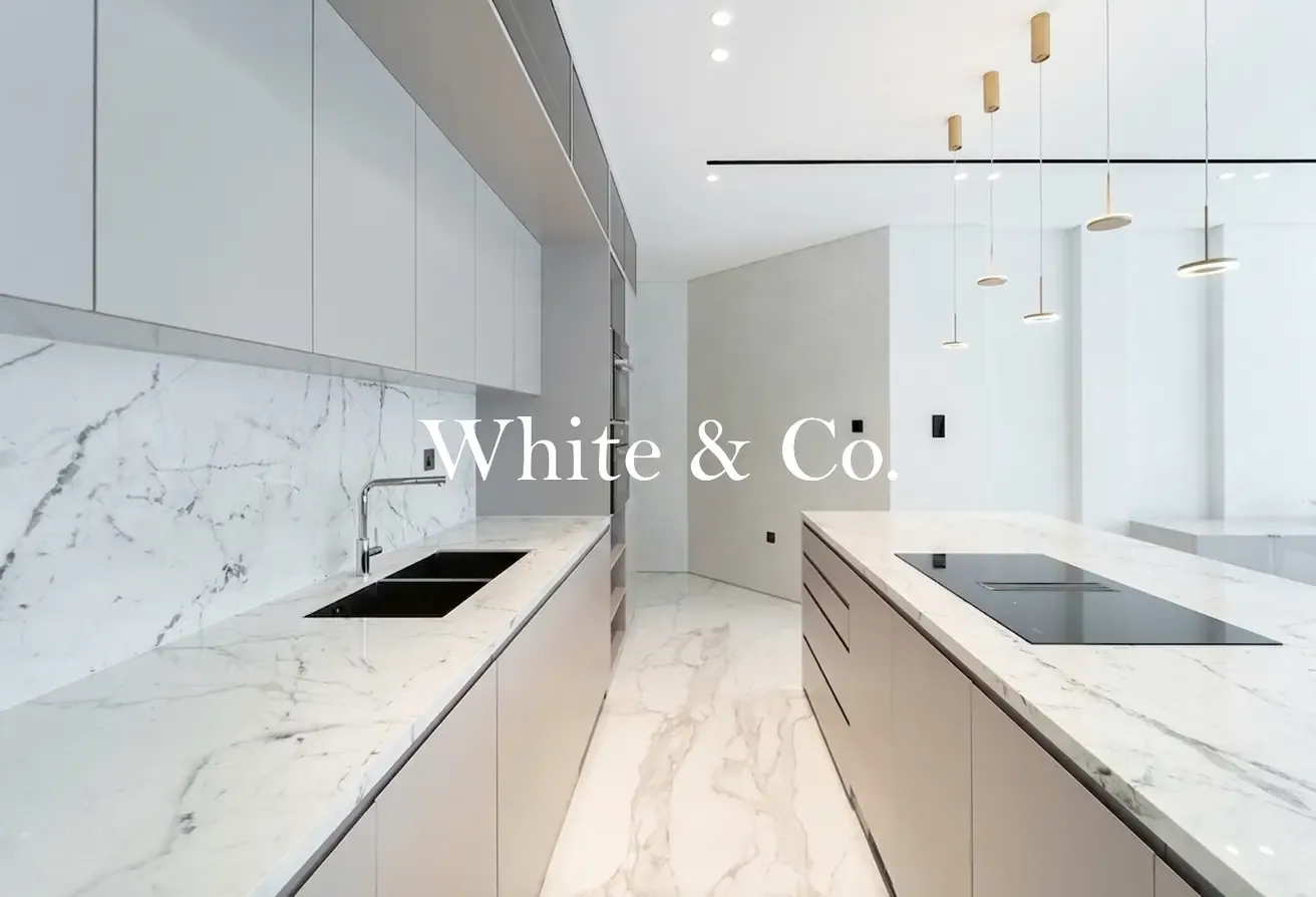 Fully Renovated | infinity Pool | Skyline