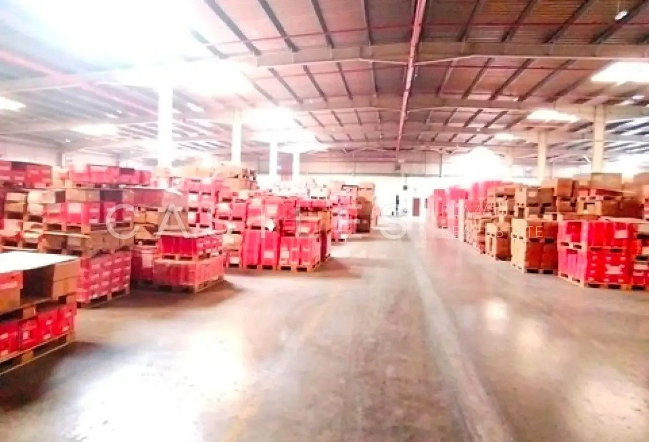 GRAB DEAL I INDUSTRIAL USE | JAFZA