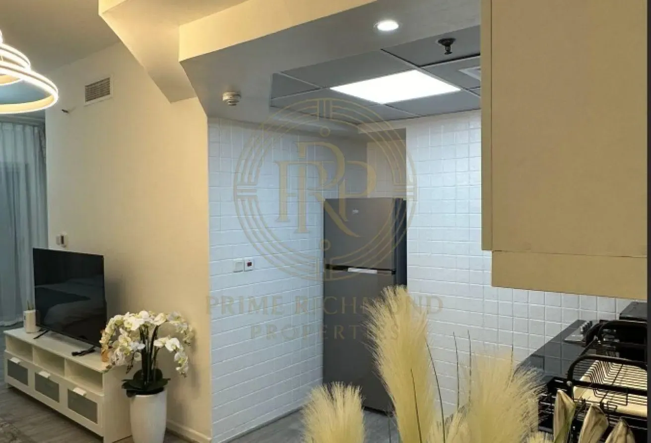 Furnished 1BR Studio‑Style | Pool & SZR Views