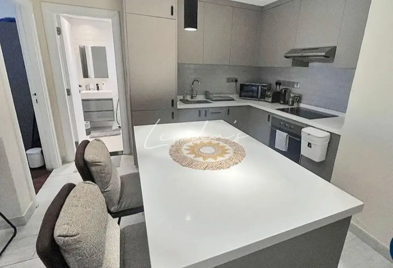 Fully furnished | upgraded 1BR | Huge Terrace