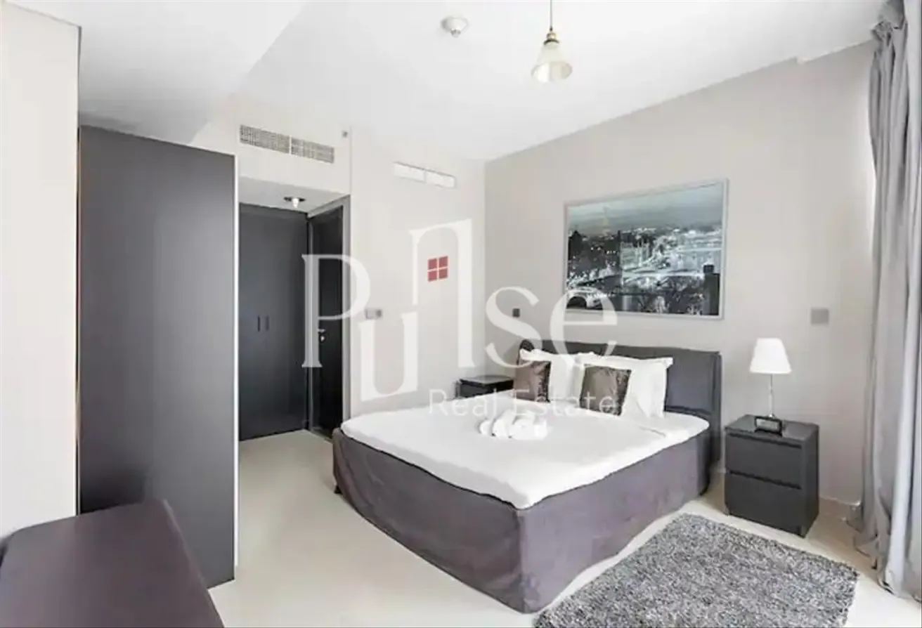 Fully Upgraded and Fully Furnished with Balcony