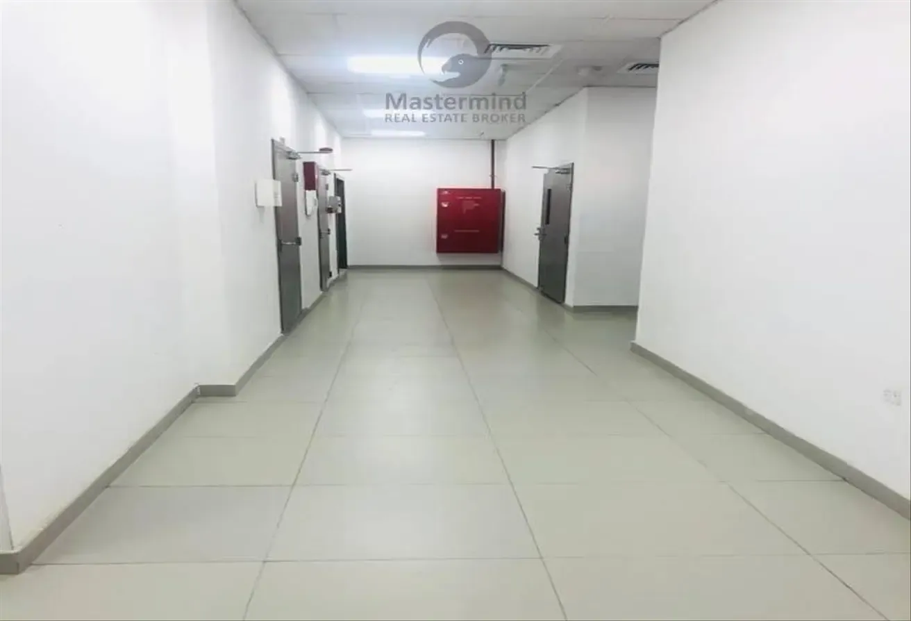 Investor Deal | Only 5 Years Old | High ROI