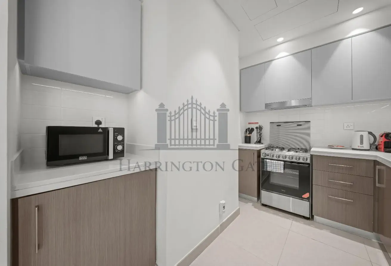 Upgraded 2 BR Apartment with Balcony in Downtown