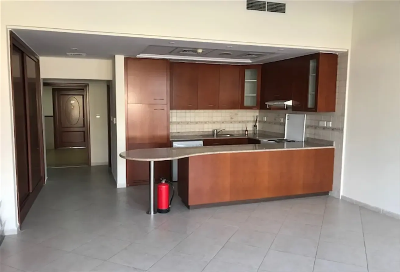 Stylish Studio| Spacious| Appliances |Tenanted