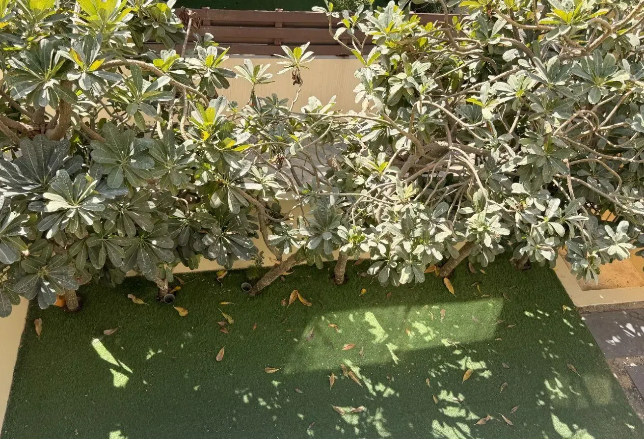 Close to Clubhouse | Landscaped Garden | VOT