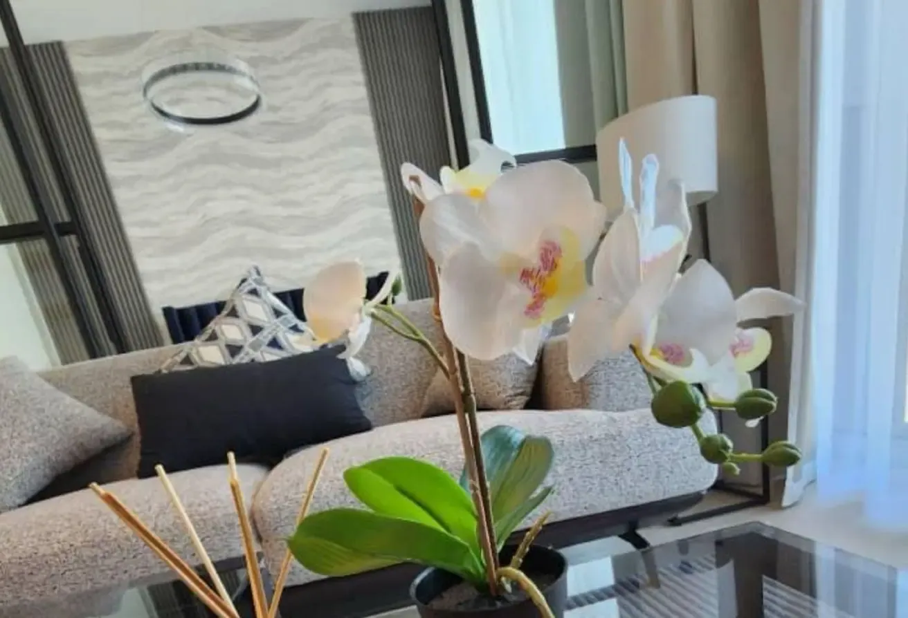 Furnished | Ready to Move | Well Maintained