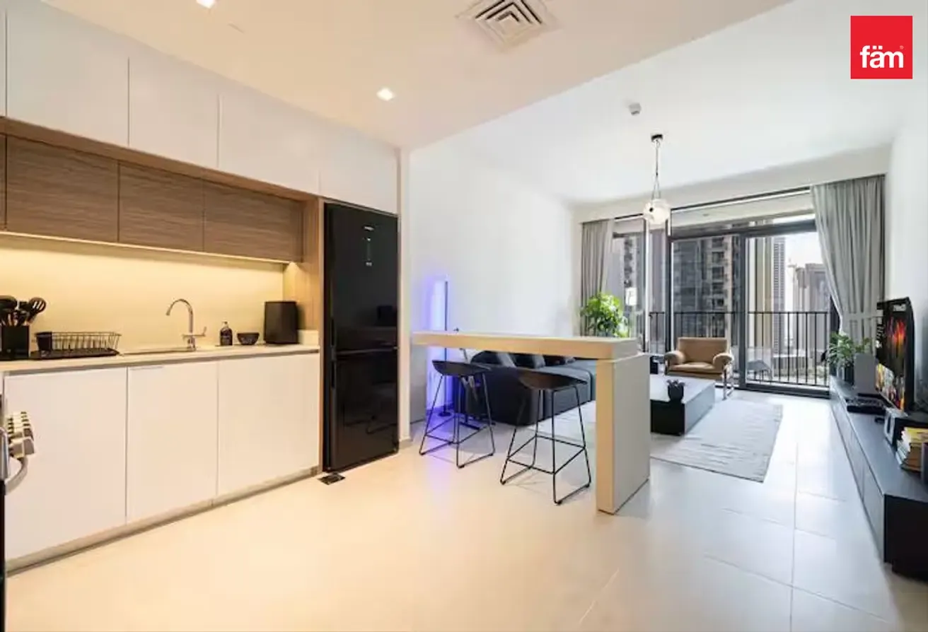 Well Furnished 1br | High Floor | Waterfront