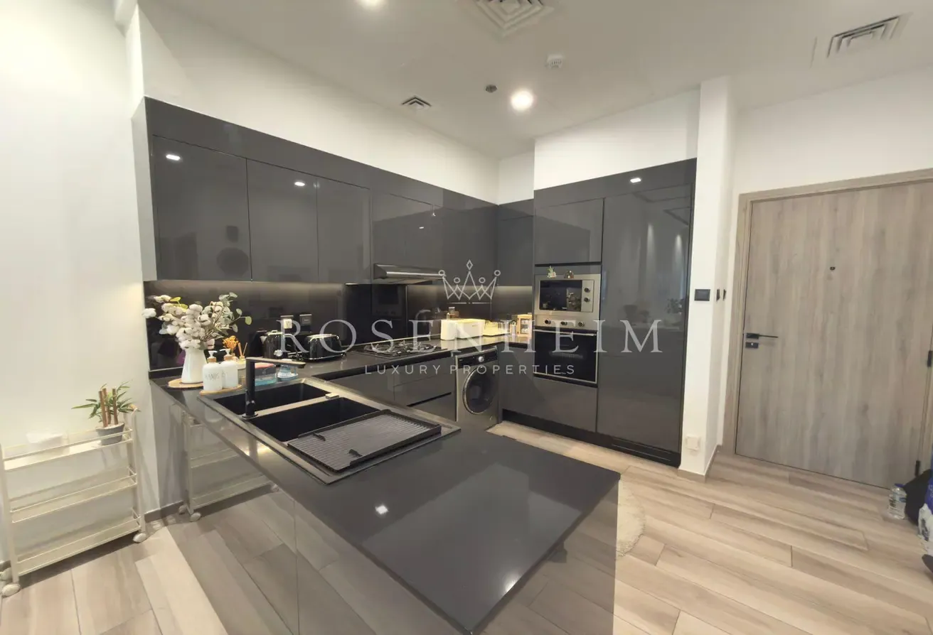 With Maids Room  |  Vacant Now  |  Fully Furnished