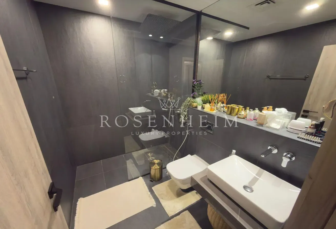 With Maids Room  |  Vacant Now  |  Fully Furnished