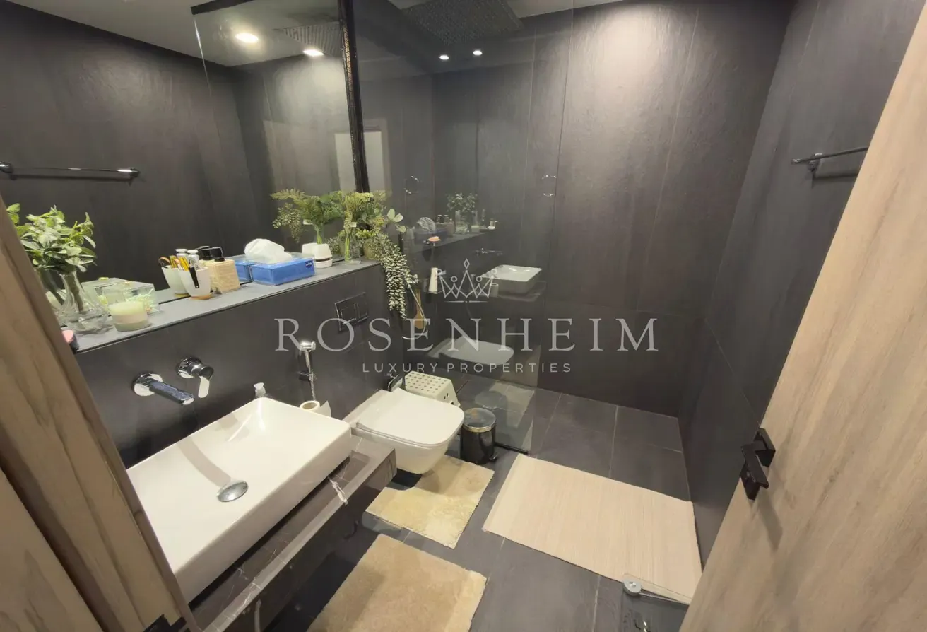 With Maids Room  |  Vacant Now  |  Fully Furnished