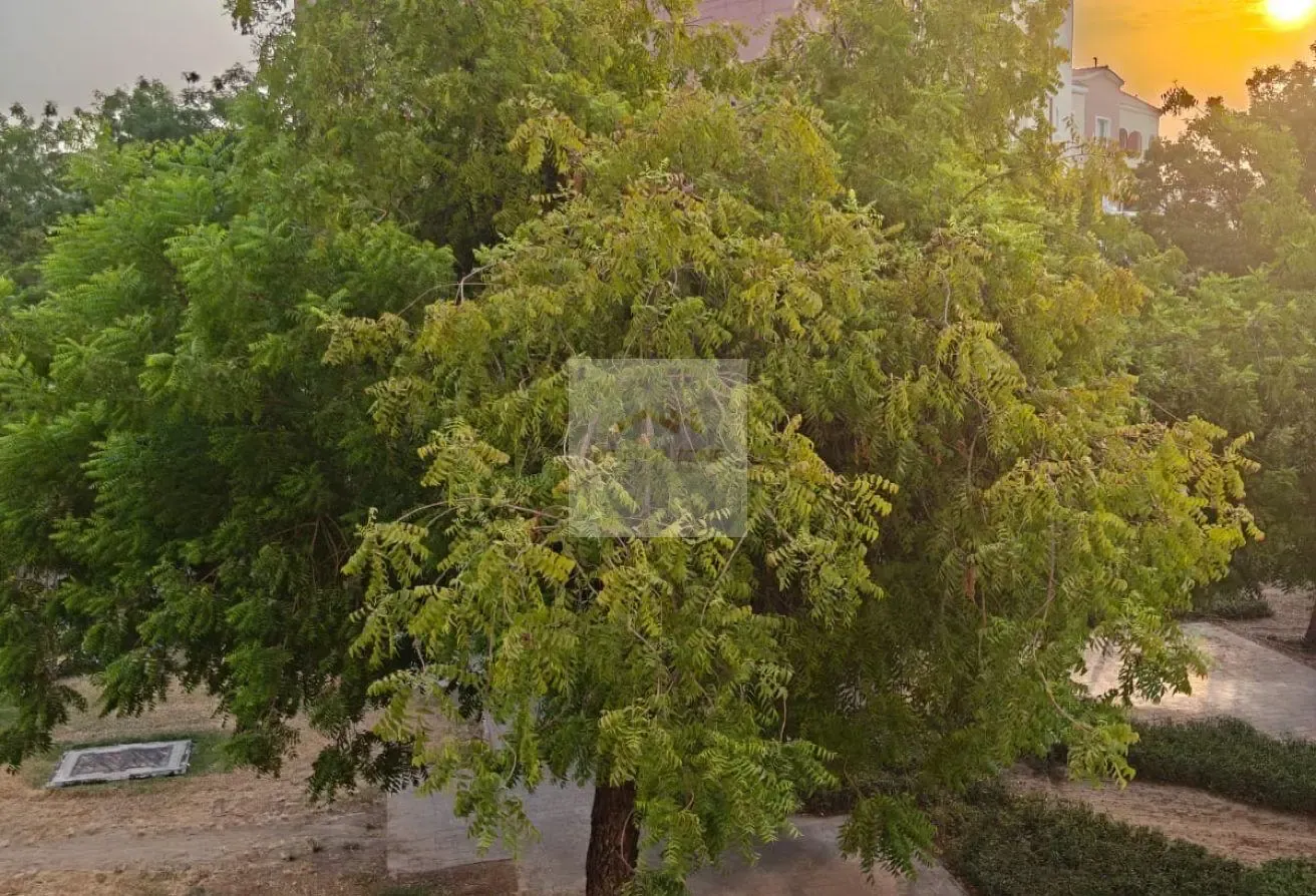 Near to Discovery Metro - 1 Bedroom Hall