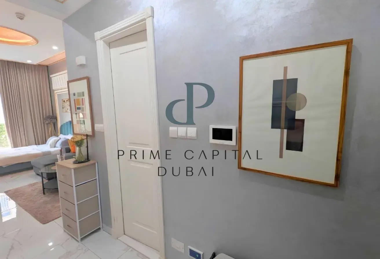 Fully Furnished Studio |Spacious |Vacant and Ready